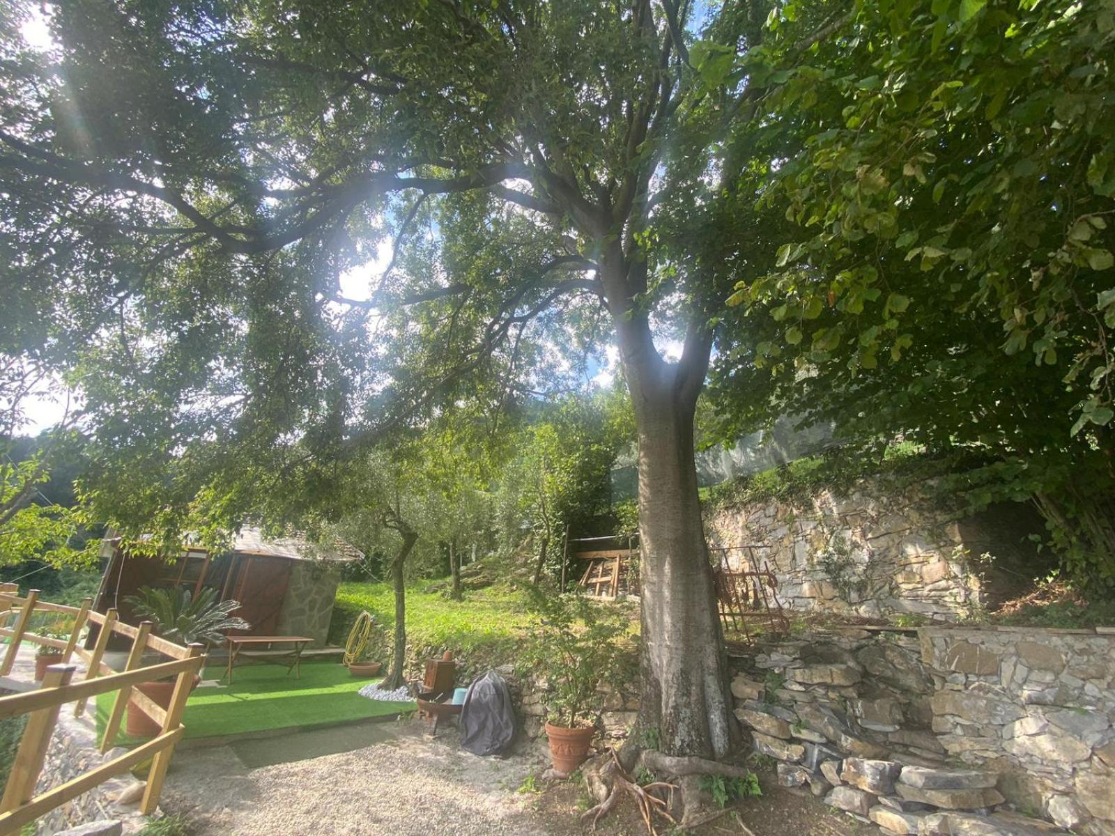 La Sosta Al Bagolaro Apartamento Rapallo Exterior foto