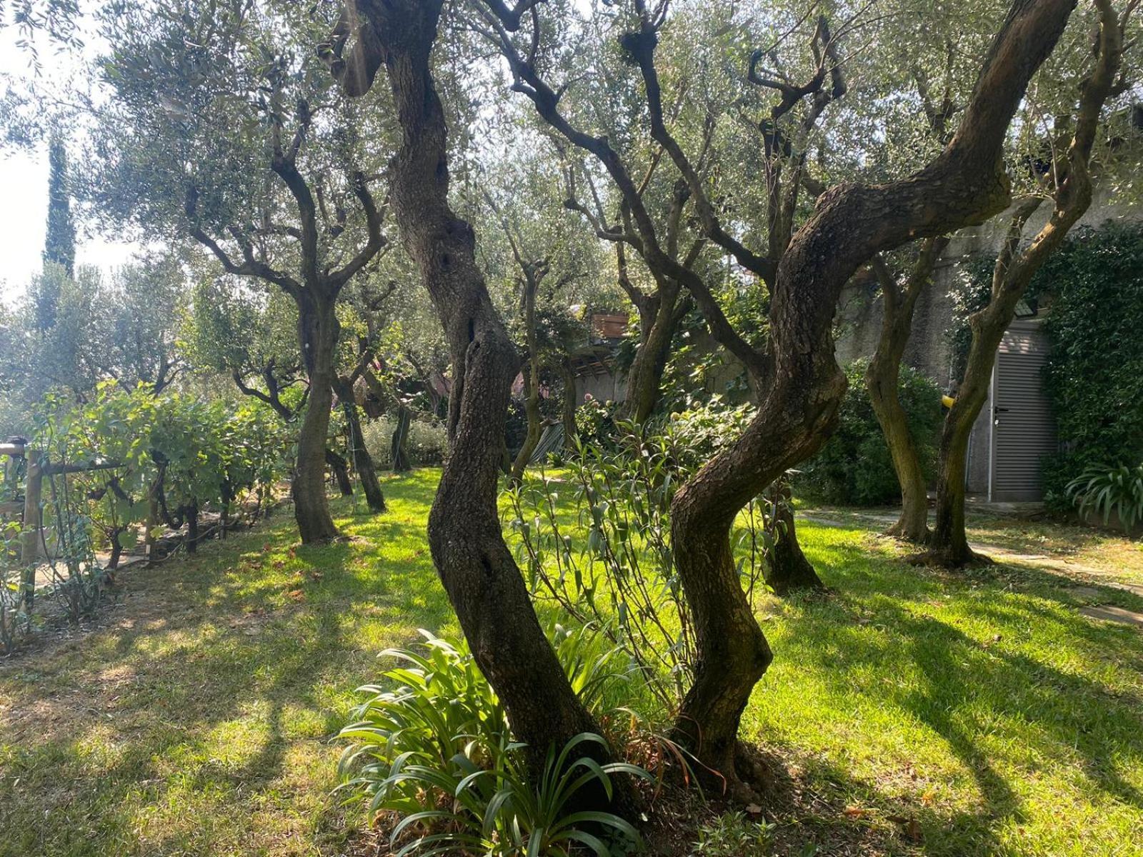 La Sosta Al Bagolaro Apartamento Rapallo Exterior foto